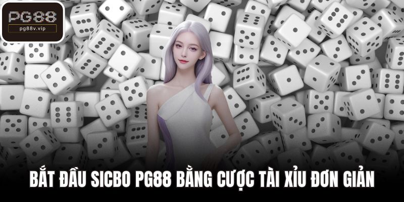 Bắt đầu Sicbo PG88 bằng cược tài xỉu đơn giản