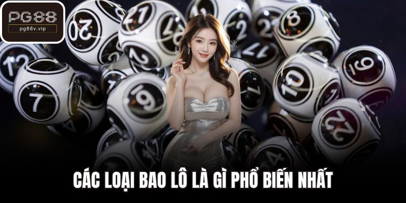 Các loại bao lô là gì phổ biến nhất