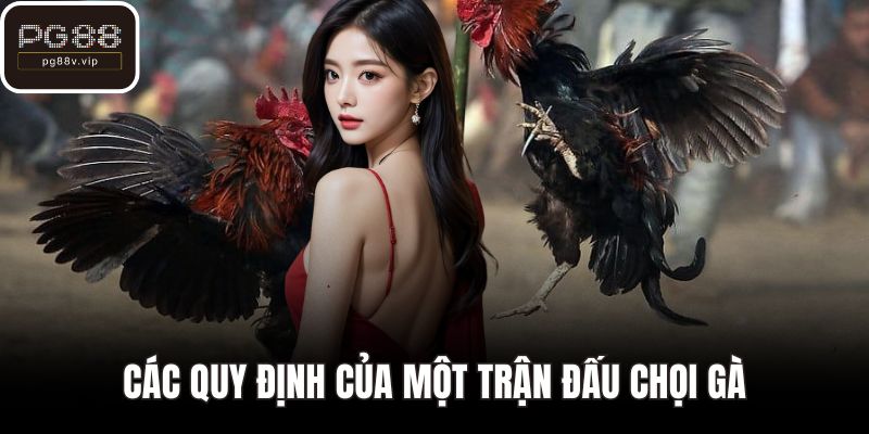 Các quy định của một trận đấu chọi gà