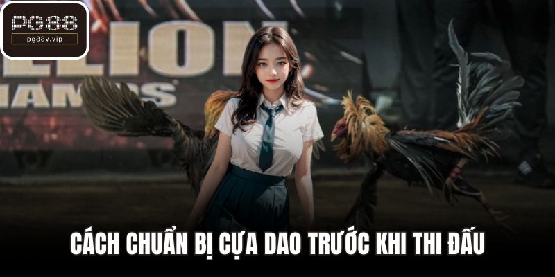 Cách chuẩn bị cựa dao trước khi thi đấu