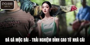 Đá Gà Mộc Bài - Trải Nghiệm Đỉnh Cao Từ Nhà Cái Uy Tín