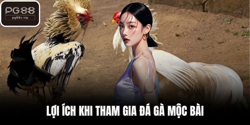 Lợi ích khi tham gia đá gà mộc bài