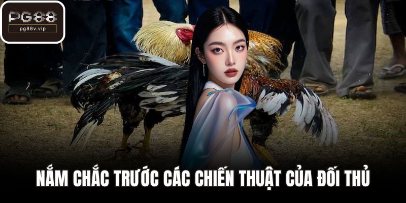 Nắm chắc trước các chiến thuật của đối thủ