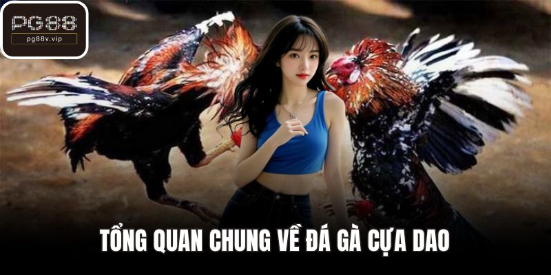 Tổng quan chung về đá gà cựa dao
