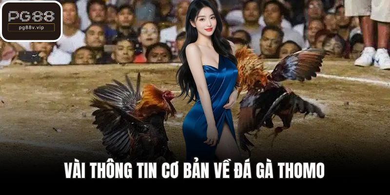 Vài thông tin cơ bản về đá gà Thomo